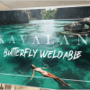Butterfly PVC Free Double Sided Banner - Image 4