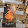 Butterfly PVC Free Double Sided Banner - Image 3